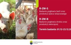 Badania statystyczne 