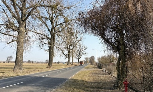 Budowa ścieżki rowerowej w m. Olekszyn