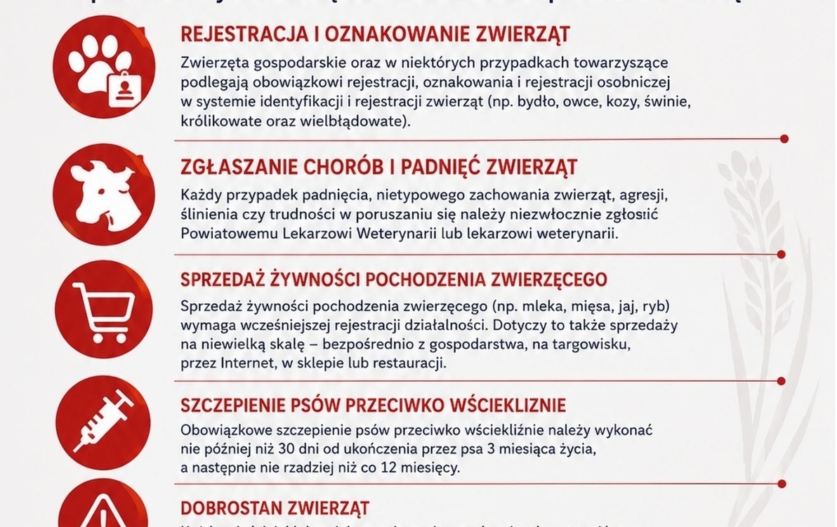 Zdjęcie artykułu z dnia 27-07-2026